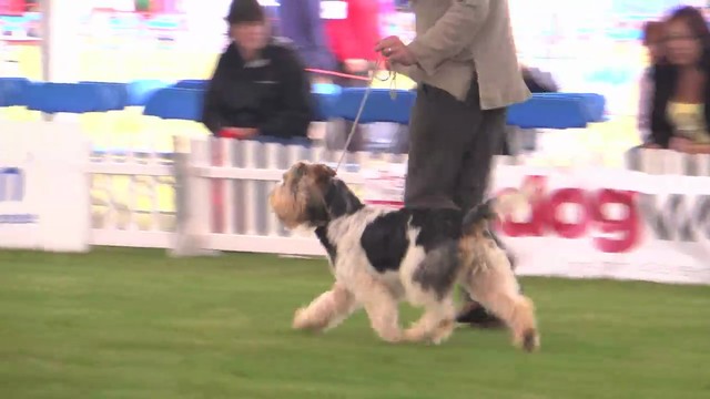 Blackpool 2011 Hound Group