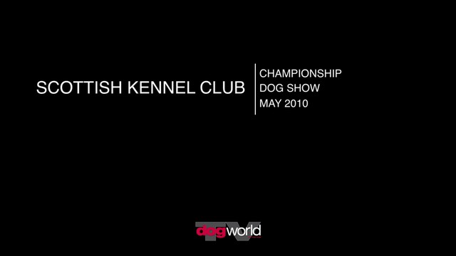 Scottish Kennel Club, May 2010