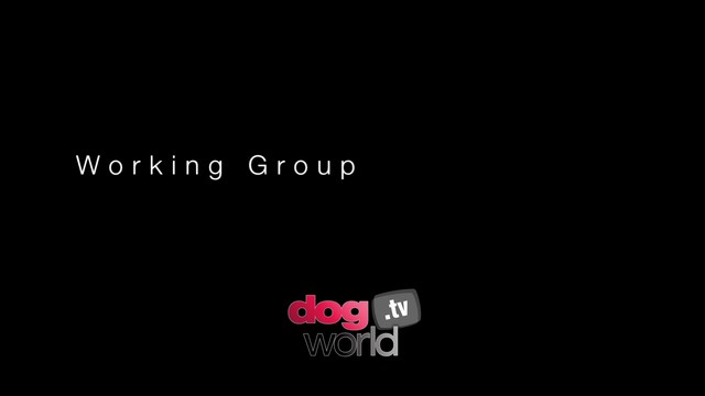 WKC 2011 Working Group