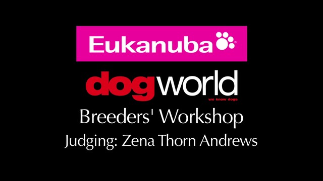 Breeders Workshop - Judging