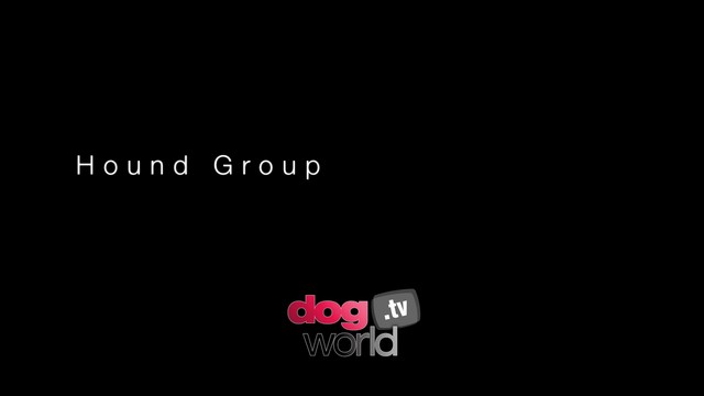 Manchester Hound Group and BIS