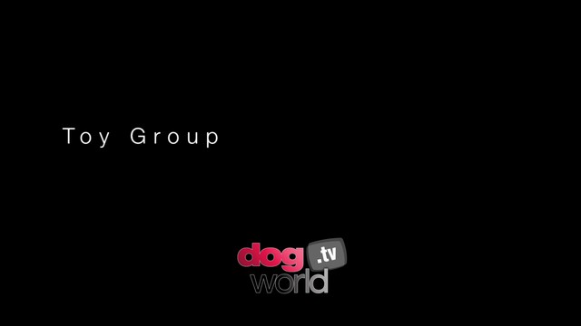 Manchester Toy Group and BIS