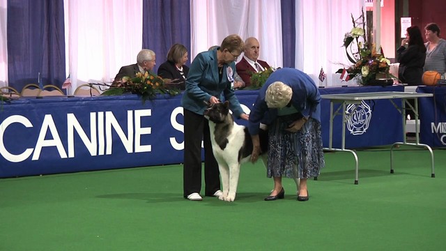 Midland Counties 2011 - Utility Group