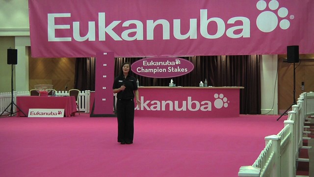 Eukanuba Champion Stakes final 2010
