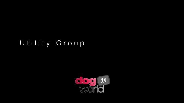 Manchester Utility Group and BIS