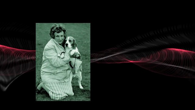 An Audience with Marion Spavin